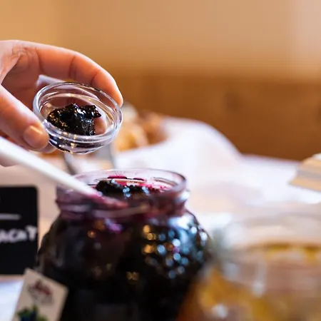 Pensjonat Naturpension Muehlhof Neukirchen am Großvenediger