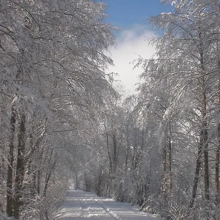 Naturpension Muehlhof Neukirchen am Großvenediger