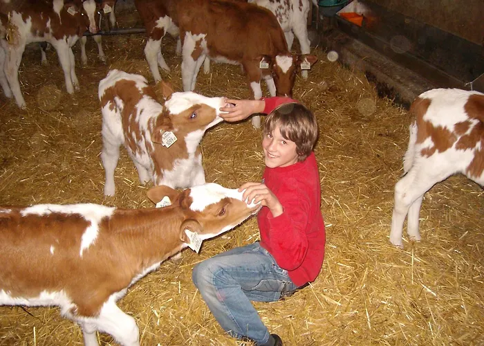 Naturpension Muehlhof ゲストハウス 2*